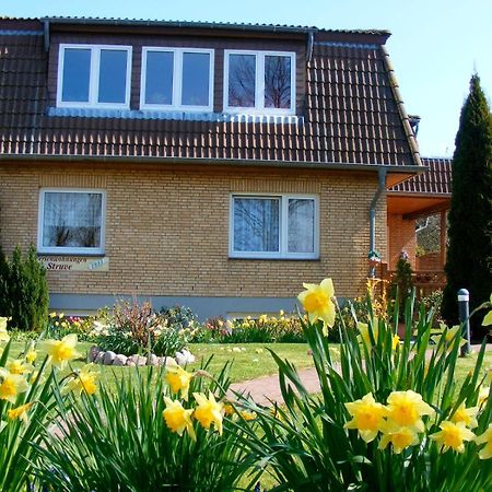 Ferienwohnung Struve Nr 2 Petersdorf auf Fehmarn Bagian luar foto